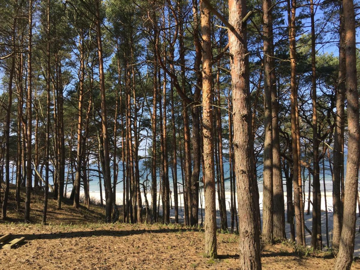 Apartamenty I Pokoje Magnolia Дзвижино Экстерьер фото